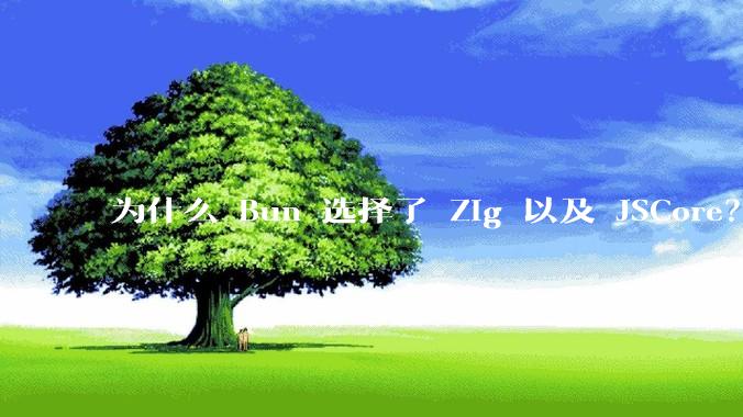 为什么 Bun 选择了 Zig 以及 JSCore？