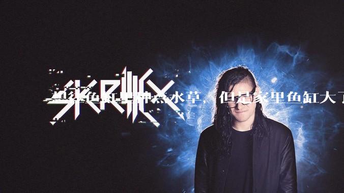 想往鱼缸里种点水草，但是家里鱼缸大了买水草泥或者底砂太贵了，有没有生活中可以替代的物品或其他建议？