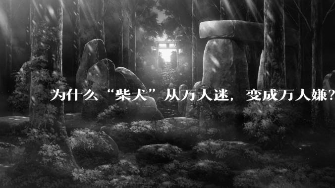 为什么“柴犬”从万人迷，变成万人嫌？