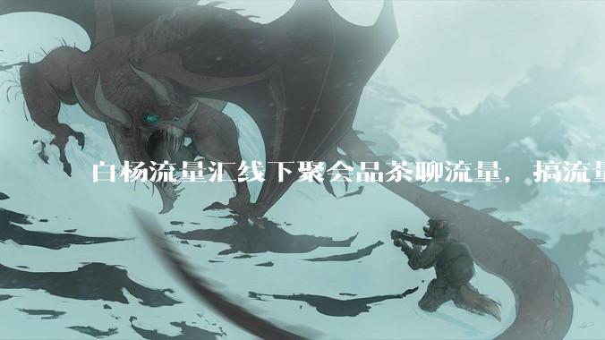 白杨流量汇线下聚会品茶聊流量，搞流量的核心是什么？ - *
