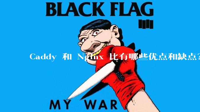 Caddy 和 Nginx 比有哪些优点和缺点？