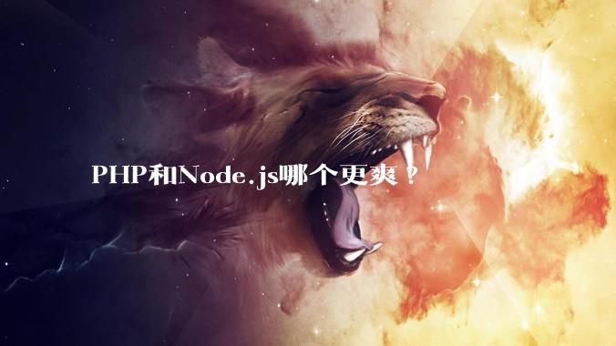 PHP和Node.js哪个更爽?