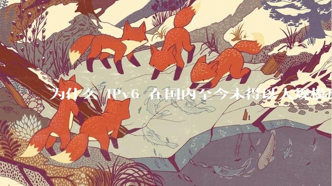 为什么 IPv6 在国内至今未得以大规模应用?