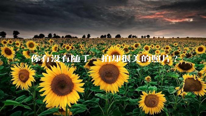 你有没有随手一拍却很美的照片?